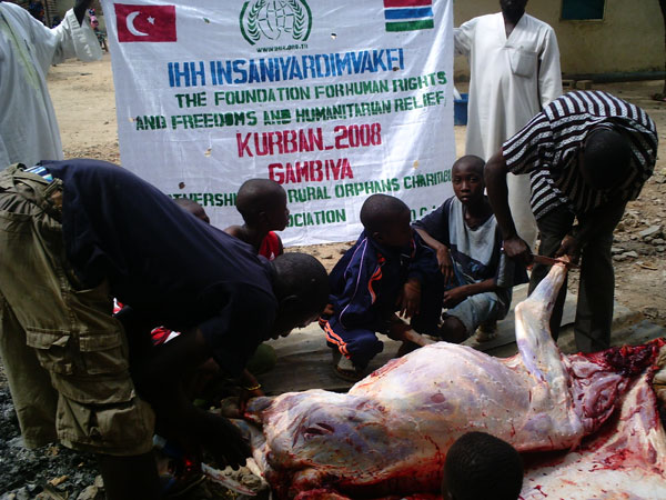 Turkish Organisation Distributes Sacrificial Meat in The Gambia