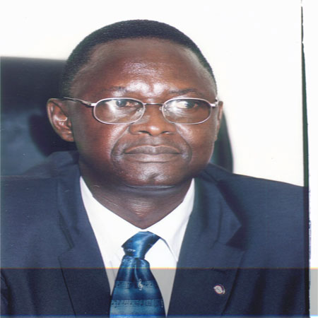 Gambia's New Ambassador to Spain Presents Letters of Credence