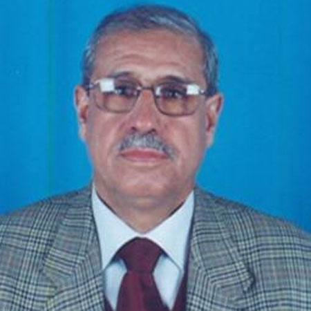 Libyan Ambassador Is Optimistic About African Unity