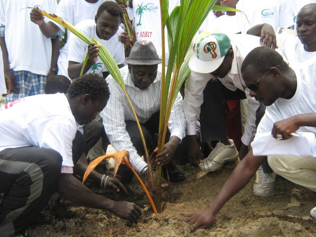 Banjul Coconut Beach Project Launched