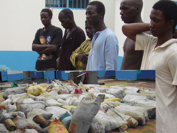 Another big catch of cannabis, over a tonne seized