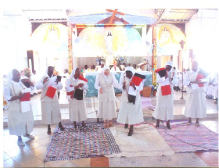 Three Presentation of Mary Sisters make final vows