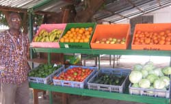 Concern Universal motivates Gambian farmers