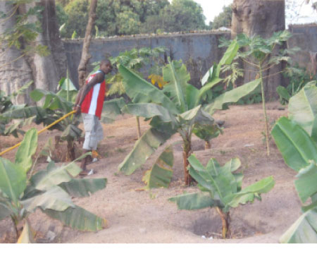 Student farmer seeks assistance  