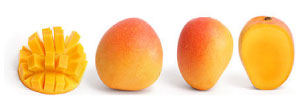 The mango fruit