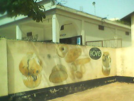 Terinfili Agro-Forestry introduces cashew and mango processing, baking initiative