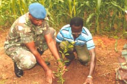 Fajara Barracks Commanding Officer assures upkeep of trees in army camp