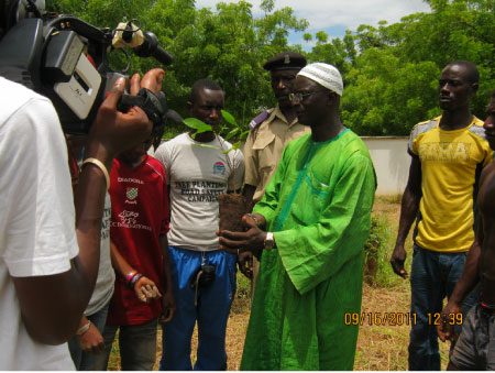 Youth Parliament embarks on tree planting, road safety campaign