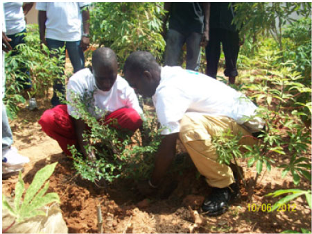 Rotary Club of Fajara plants trees at Serrekunda General Hospital