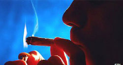 Cannabis drivers ‘twice as likely to cause car crash’