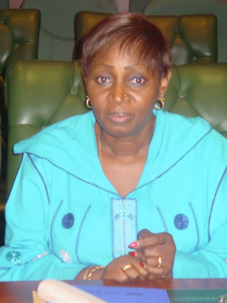 Stakeholders validate great green wall national action plan document 