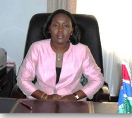 Petroleum Minister launches GEF/UNIDO project