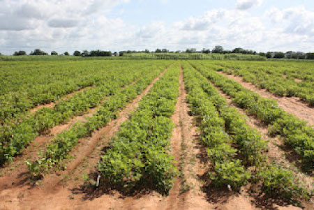 PIWAMP annual consultative meeting wraps up in LRR