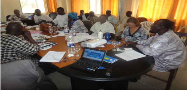 USAID/Ba-Nafa Project validates comparative cost study on sole fish