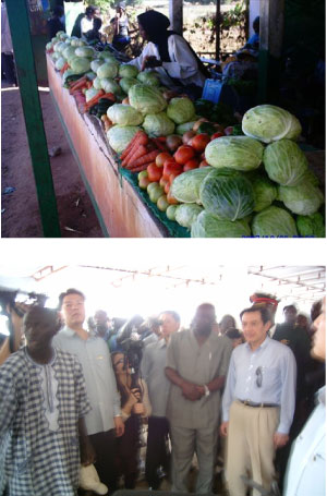President Ma visits Banjulinding women garden, other locations