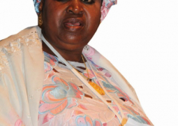 vp njie saidy