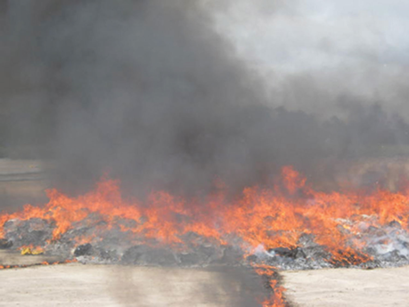 NDEA destroys seized drugs