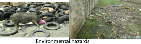 Environment: Is Waste management deyond the capacities of Local Government Authorities?