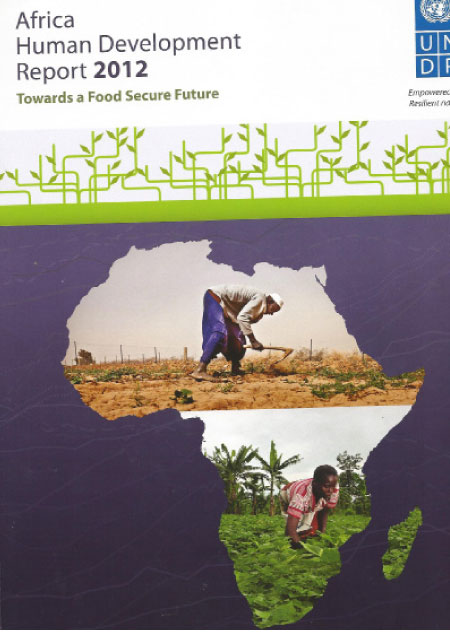 VP launches Africa Human Development Report 2012