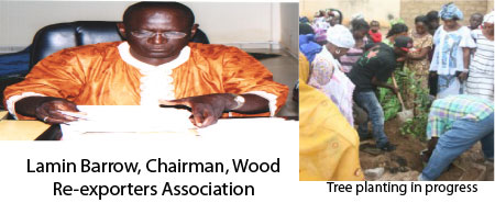 Environment: Tree planting in Kanfeda kicks off national afforestation initiative