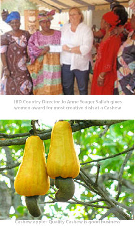 Economywatch: Changing lives of cashew producers through enhanced business