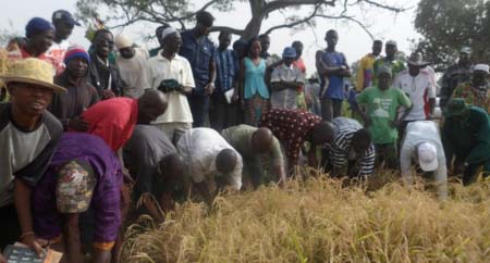 NEDI coordinator harps on significance of agriculture