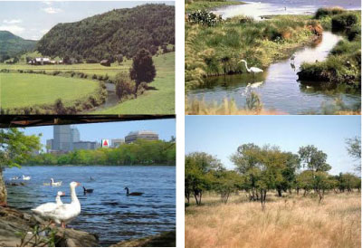 Environment: Habitat conservation is vital for protecting species and ecological processes for prosperity