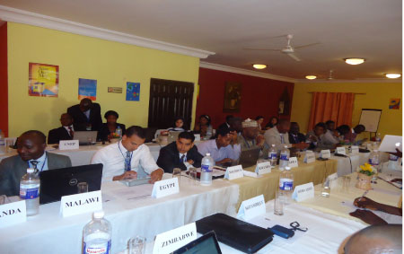 19th Ozone officers network meeting for English-speaking countries underway