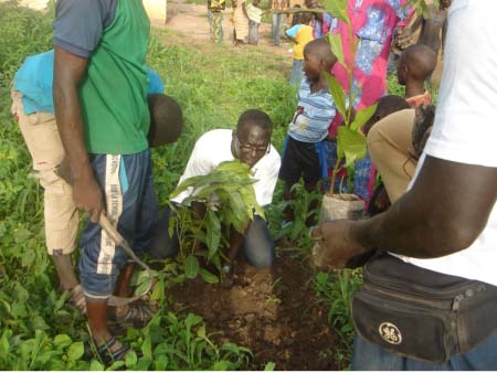 Beakanyang conducts massive tree planting in Wuli