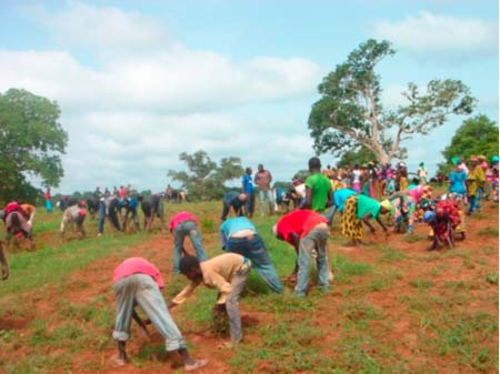 Volunteers weed Beakanyang coos farm in Barrow Kunda