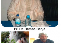 dr. bamba banja and alhagie manjang 1