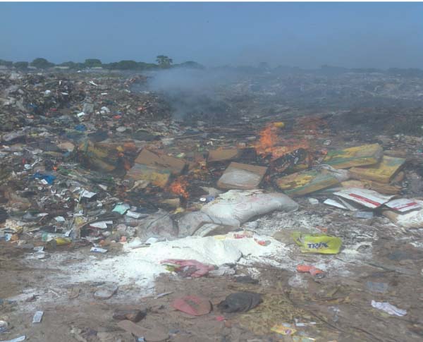 SHC destroys unhealthy food items