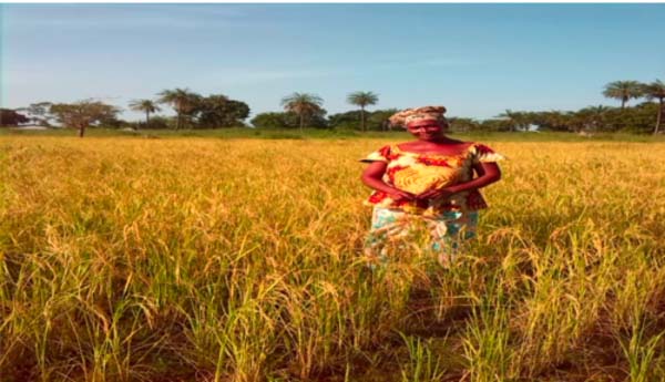 Giboro Ward Councillor expresses optimism in realizing Vision 2016 initiative