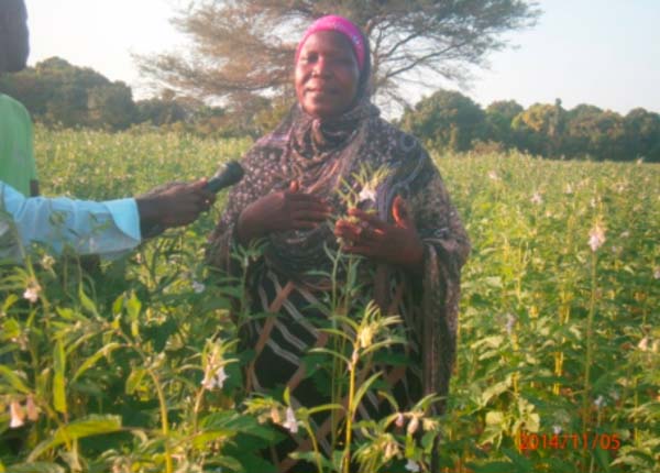 AAITG visits smallholders’ farms