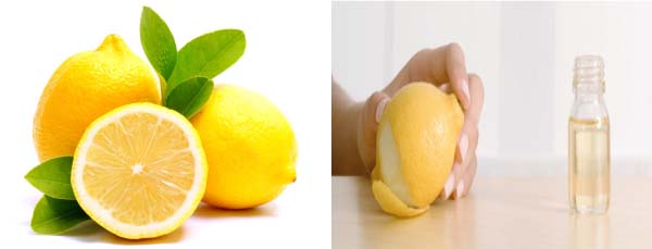 SHE SHE SHE: Women: Beautify your life with Lemon