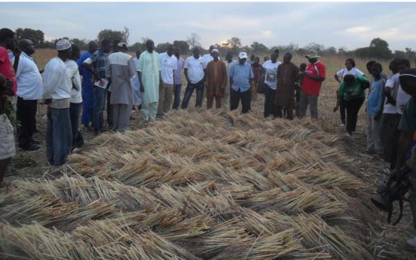 Changhai youth farm a priority, says Minister Jammeh