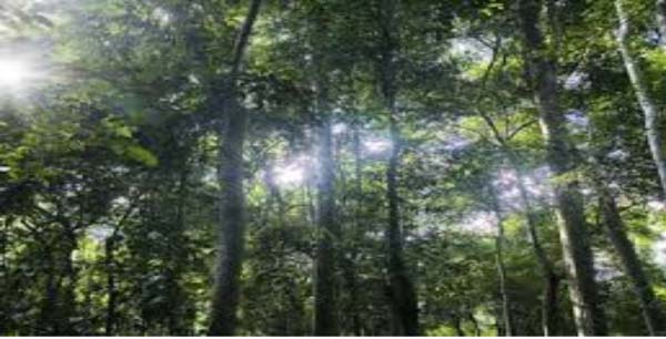 Community forest committees, others receive entrepreneurial skills training