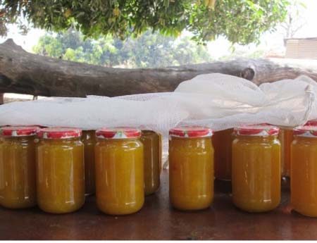 Nyofelleh village members trained on mango processing and preservation