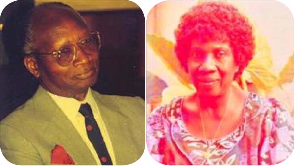 Sir Dawda’s birthday ‘a very significant day’ - Ousainou Darboe
