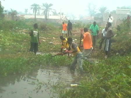 National Volunteer Association observes World Environment Day