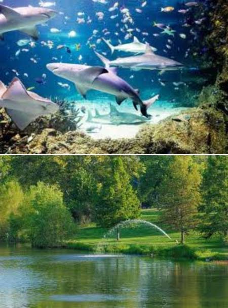 Tourism and Protected Areas in The Gambia