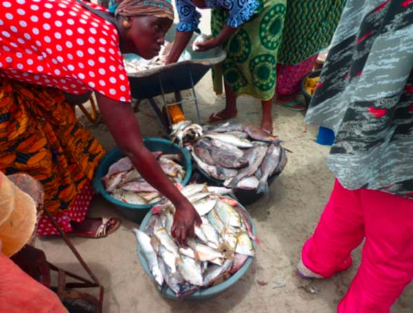 No fix price for fish