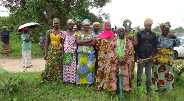 Cross-border community embarks on tree planting exercise in Gambia