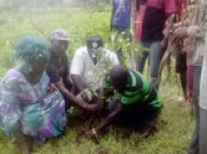 Community of Jakoi Sibirik embarks on tree planting exercise in WCR