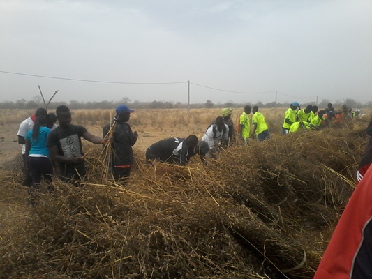 GFF makes landmark visit to Kanilai farms 
