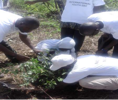 Saamasasang Federation embarks on tree planting