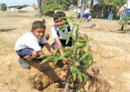 school children planting a tree