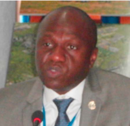 Cost of not taking action to protect and preserve the environment is higher, says Abou Bamba