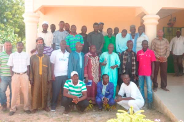 Extension workers, mango out-growers trained on fruit flies effective management