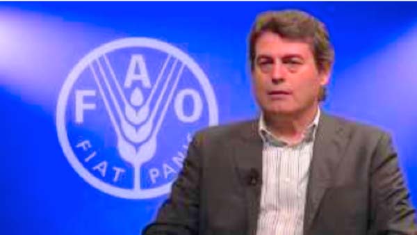 New world agriculture census round to kick off in 2016